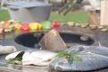 artiss_grille3.jpg