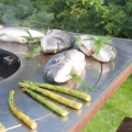 grille_artiss_21.jpg